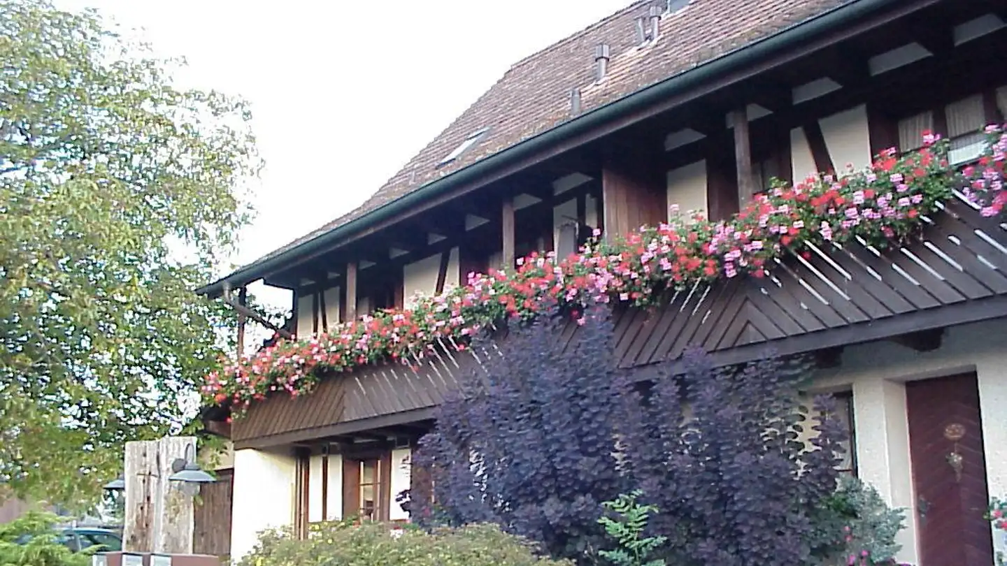 Appartamento in affitto - Kastelhofweg 67, 8155 Niederhasli - Photo 3