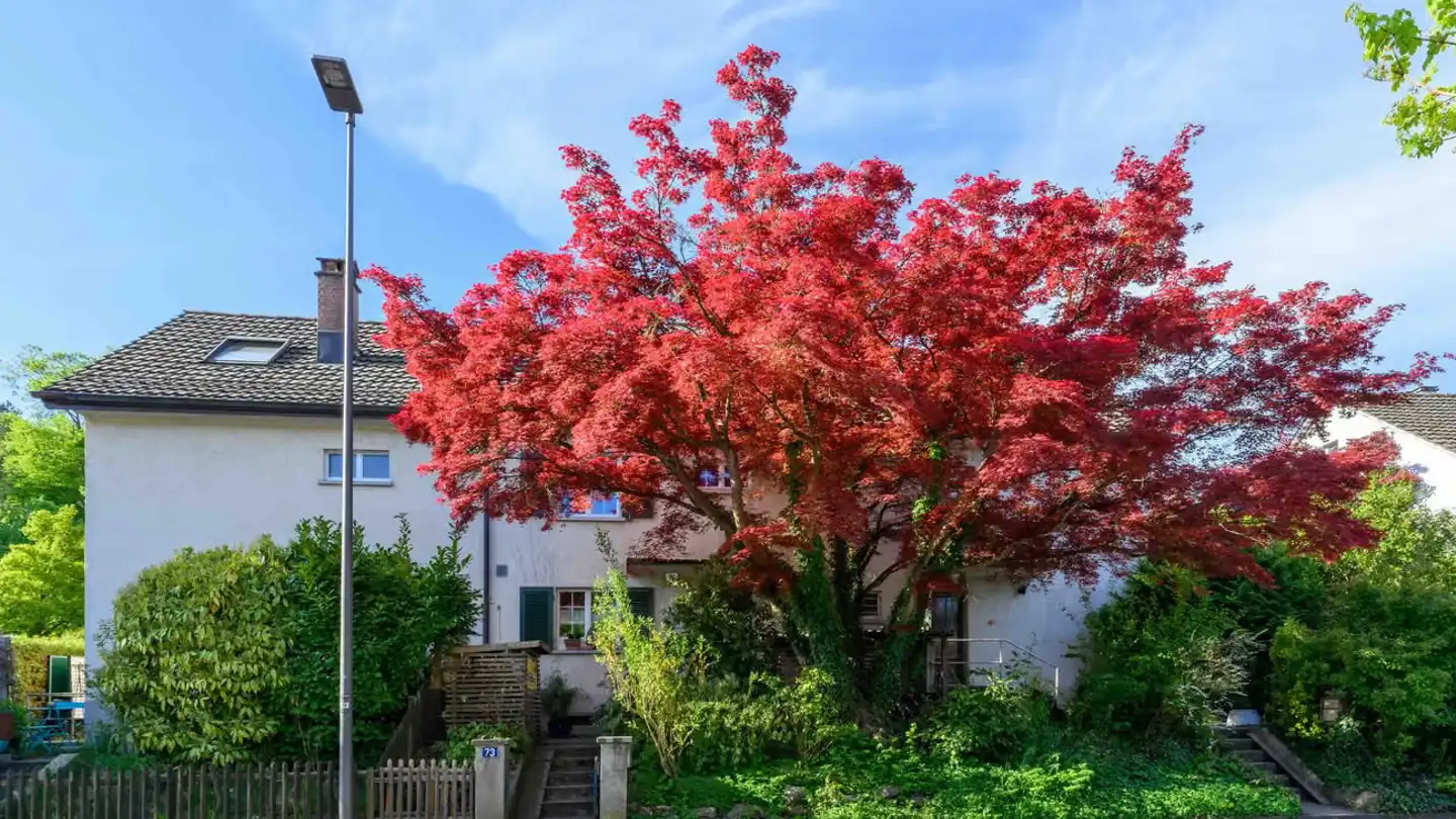 Reihenhaus kaufen - Breitestrasse 73, 8400 Winterthur - Foto 3