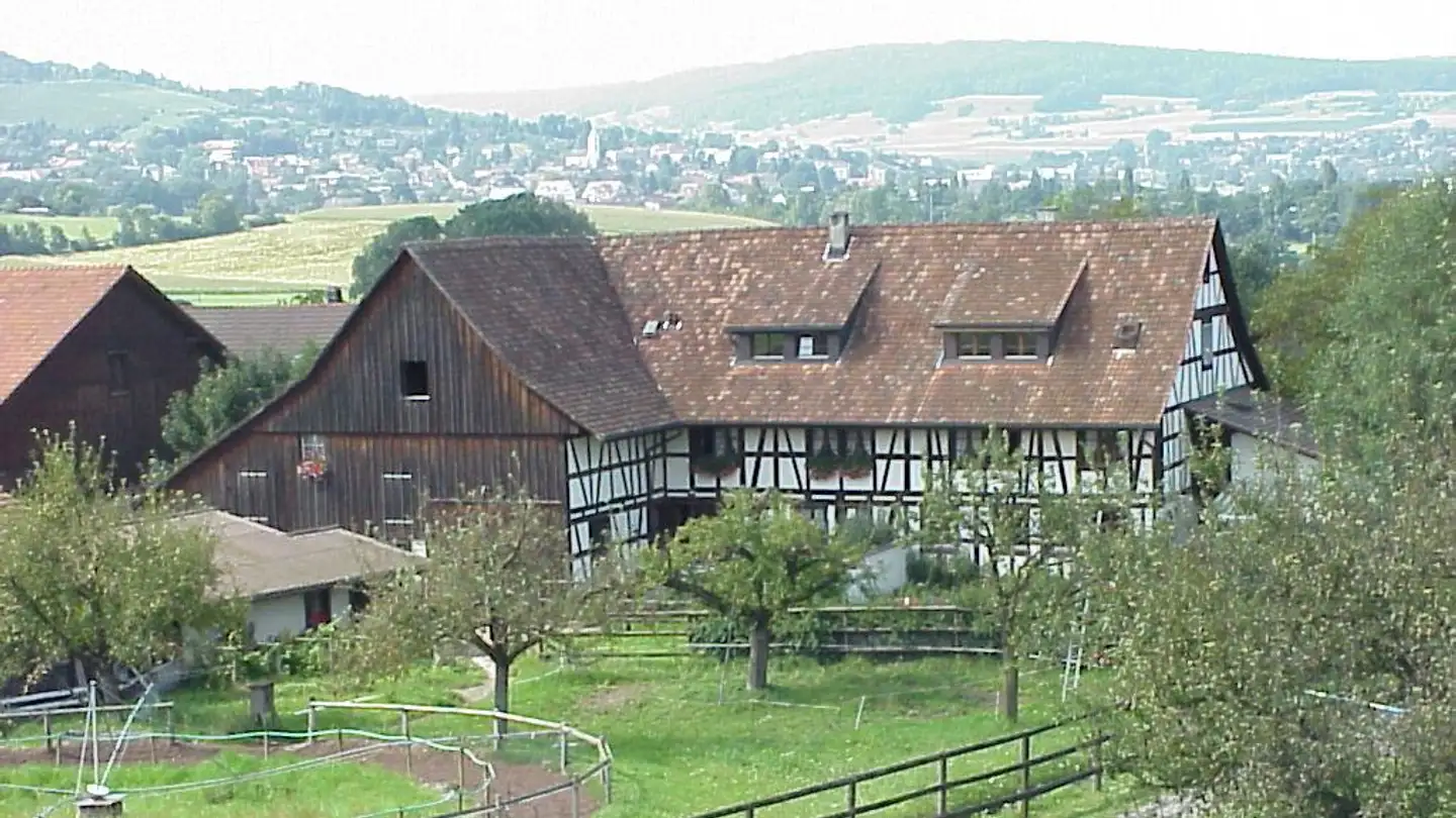 Appartamento in affitto - Kastelhofweg 67, 8155 Niederhasli - Photo 2