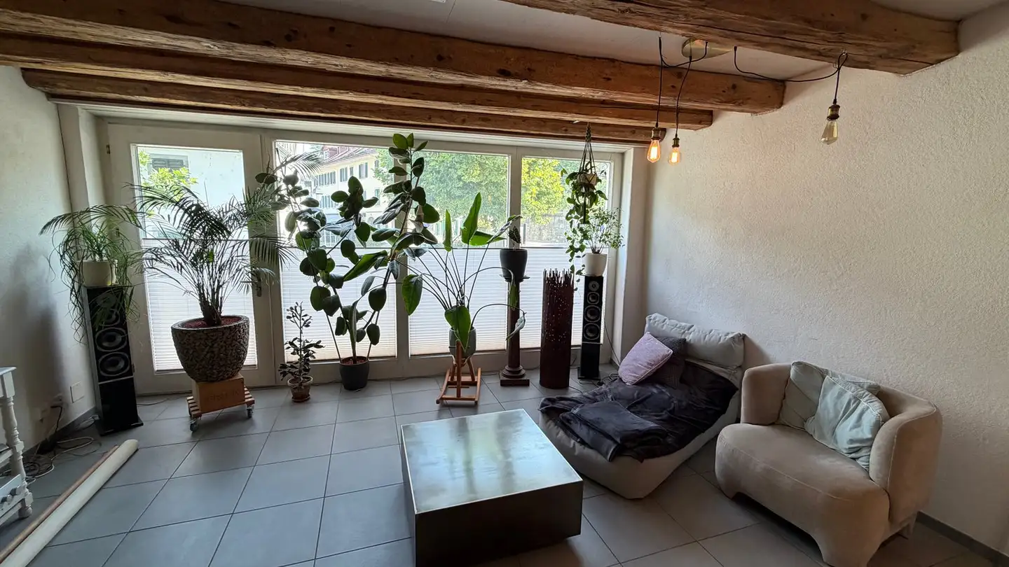 Apartment for rent - Eisengasse 33, 5600 Lenzburg - Photo 2