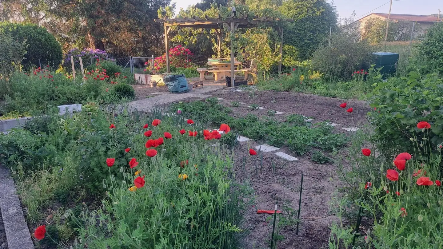 Apartment for rent - 1513 Hermenches