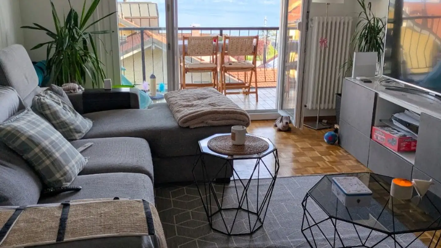 Appartamento in affitto - 1071 St-Saphorin (Lavaux) - Foto 4