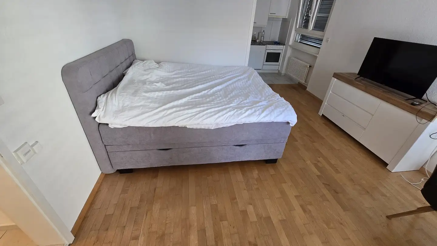 Appartamento in affitto - Seefeldstrasse, 8008 Zürich - Foto 2