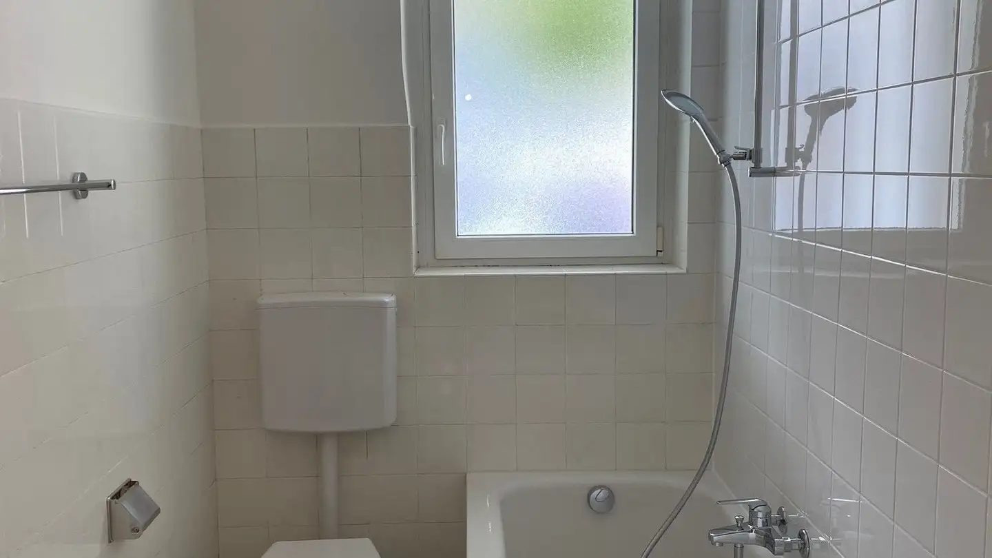 Wohnung mieten - Reinacherstrasse 98, 4053 Basel - Foto 3