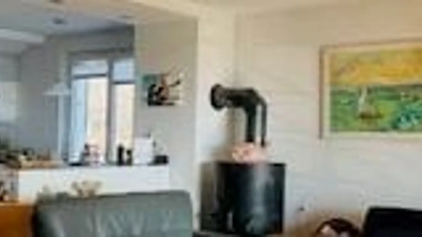 Appartement à louer - Pfrundmattweg 11, 3612 Steffisburg - Photo 4