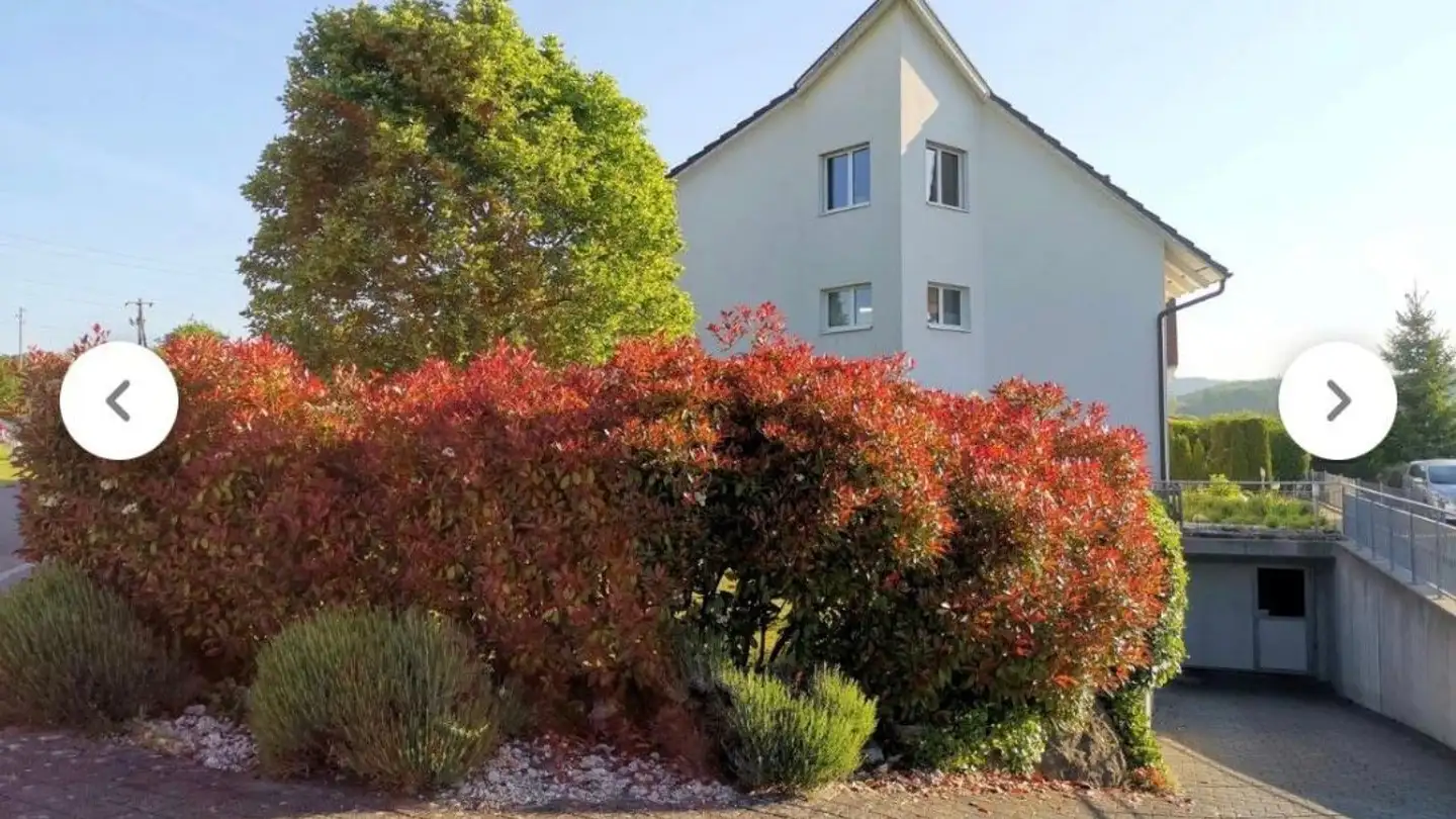 Single house for rent - Schachenstrasse, 8182 Hochfelden - Photo 2