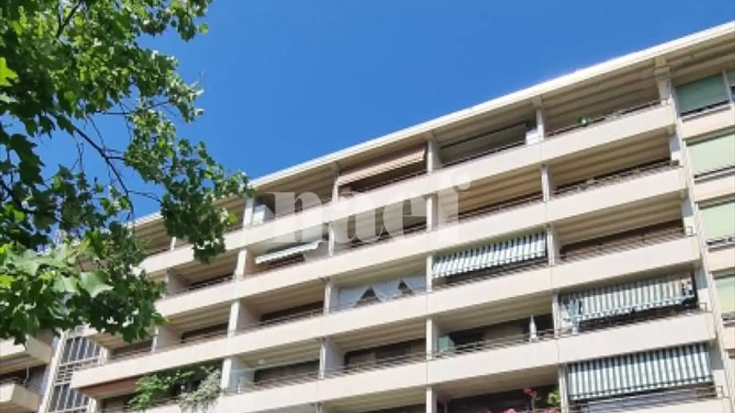 Place de parking extérieure à louer - Rue Du Vidollet 19, 1202 Genève