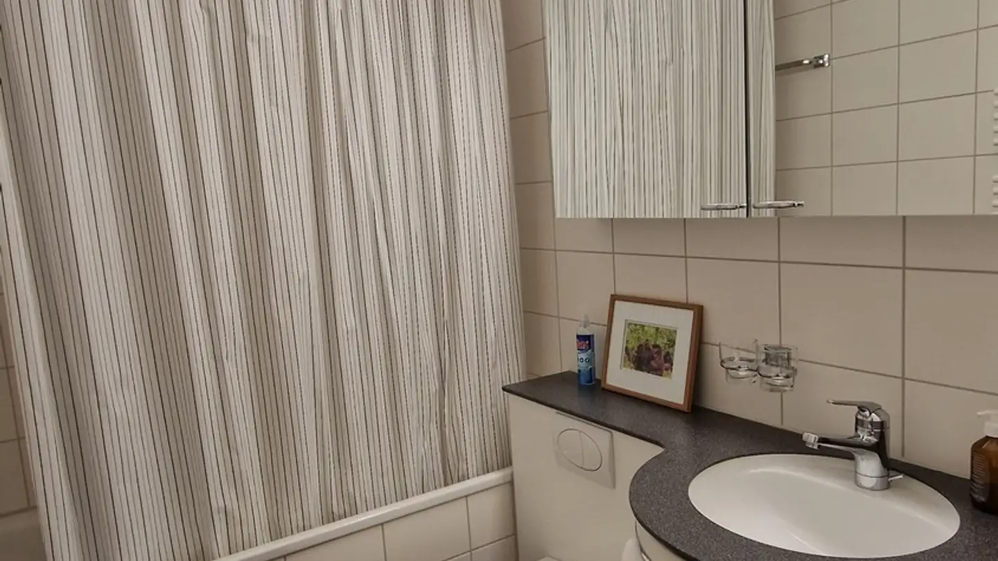 Appartement à louer - 8045 Zürich - Photo 4