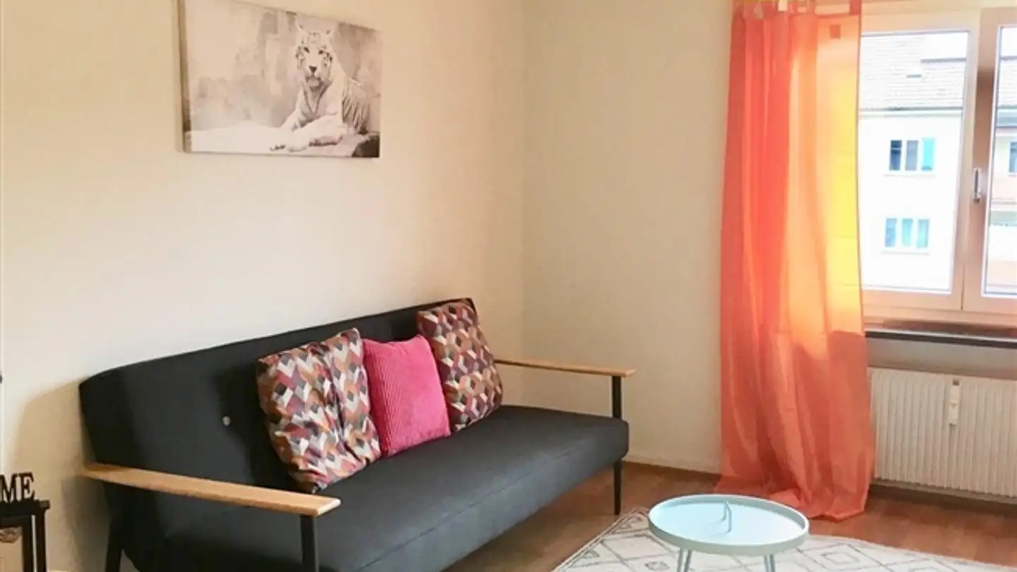 Appartement meublé à louer - Riehenstrasse 163, 4058 Basel - Photo 2