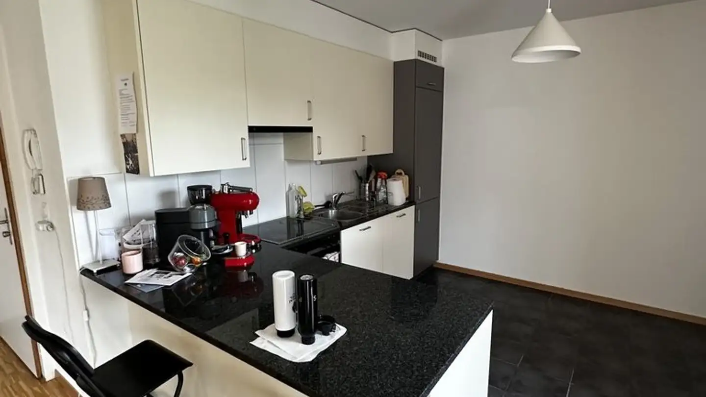 Appartamento in affitto - Avenue Victor-Ruffy 46, 1012 Lausanne - Foto 3