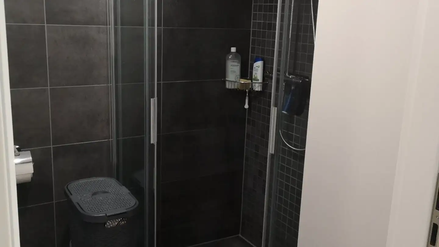 Wohnung mieten - Chemin Du Carroz 8, 1020 Renens VD - Foto 3