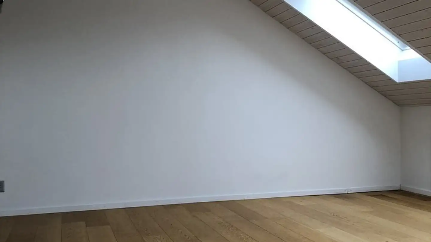 Penthouse for rent - Oberseenerstrasse 16, 8405 Winterthur - Photo 3