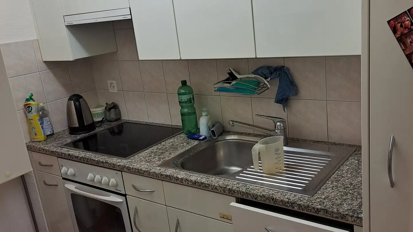 Apartment for rent - Myrthenweg 11, 7000 Chur - Photo 3