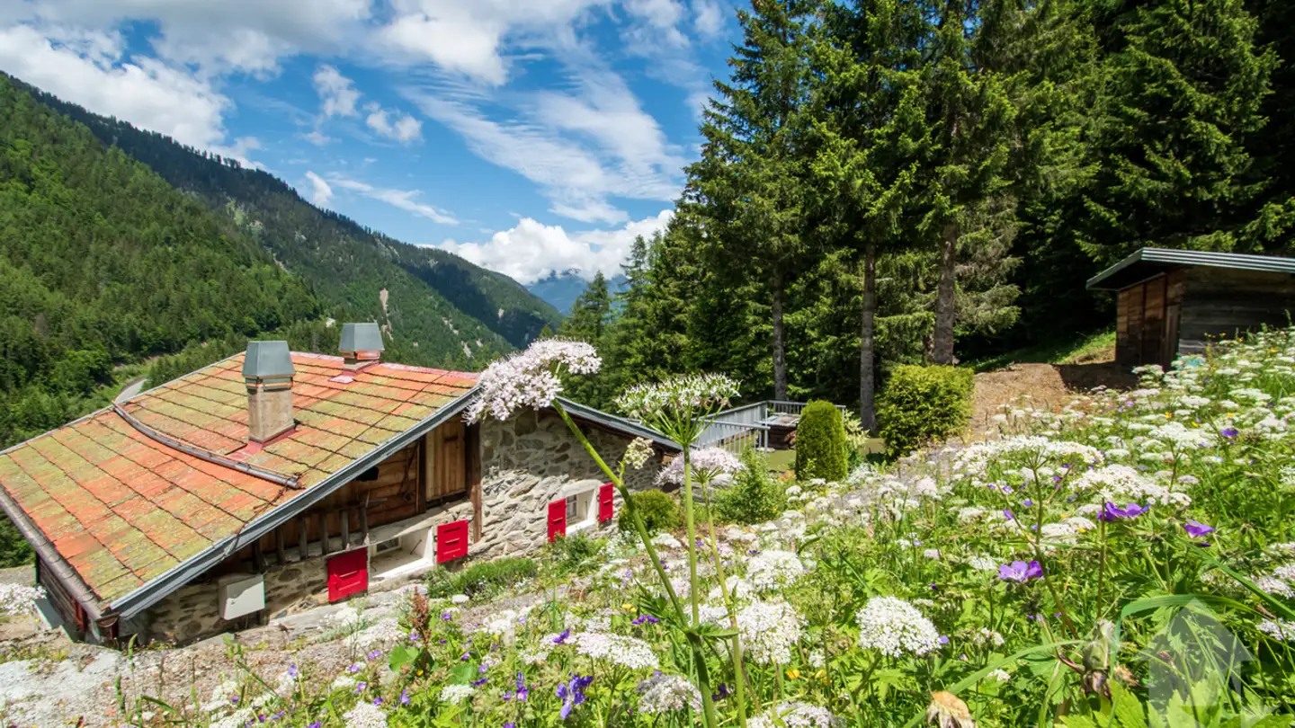 Chalet kaufen - 1921 Martigny-Croix