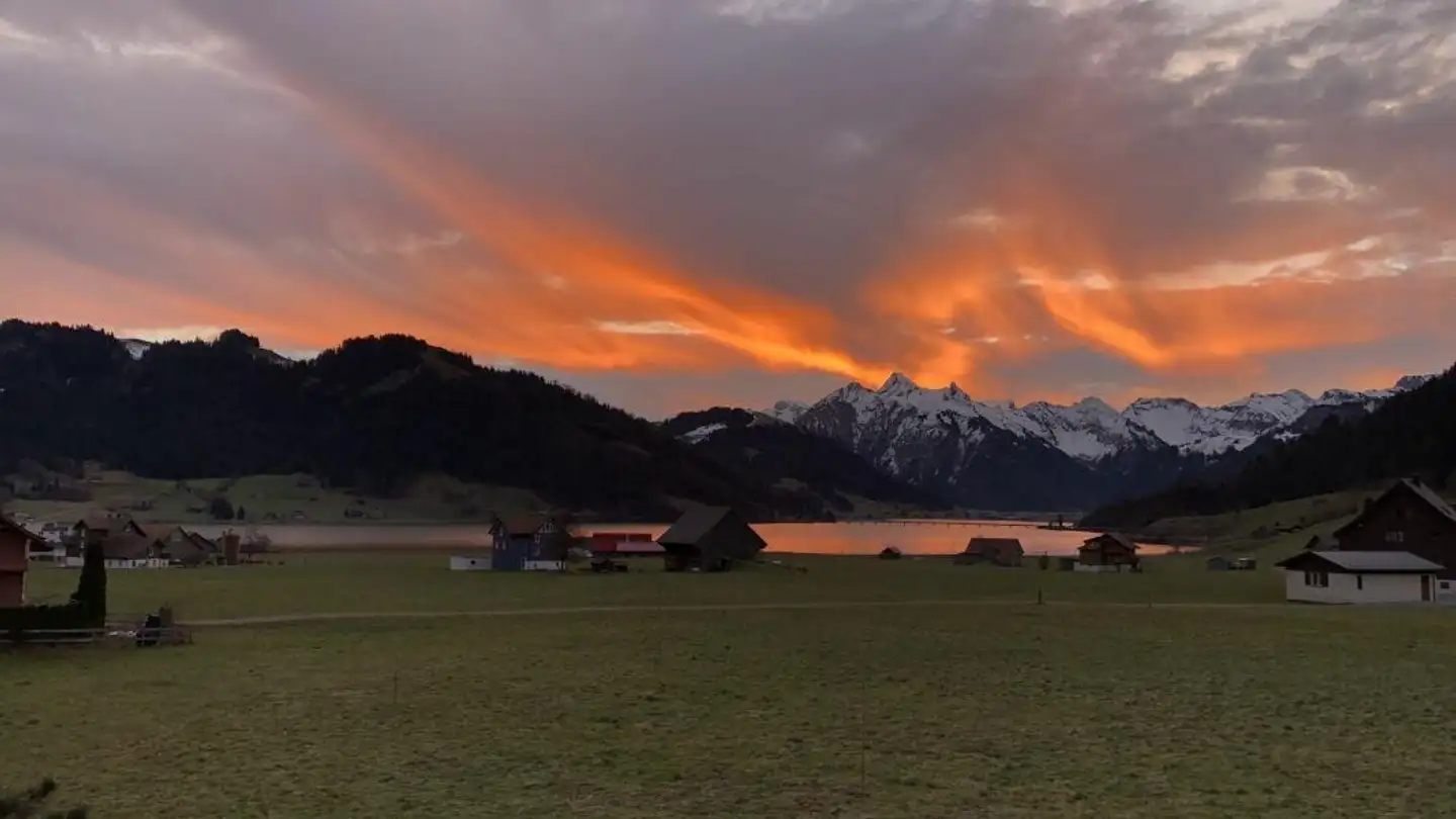 Wohnung kaufen - 8841 Gross - Foto 2