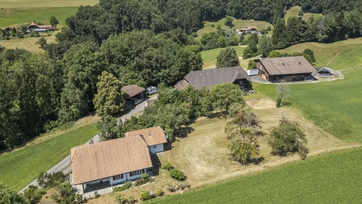 Agricultural business for sale - 3204 Rosshäusern