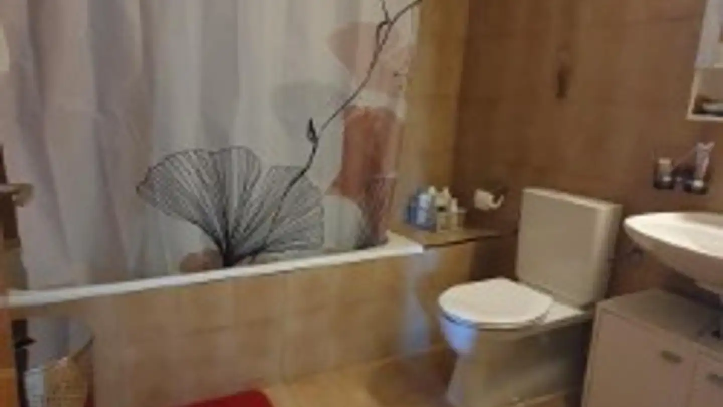 Apartment for rent - Amselweg 8, 3186 Düdingen - Photo 4