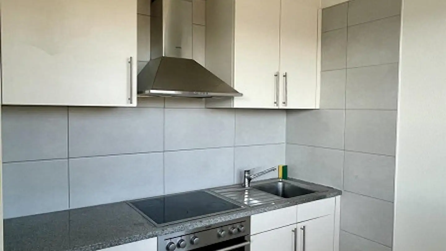 Appartement à louer - Rue De Moillebeau 63, 1209 Genève - Photo 3