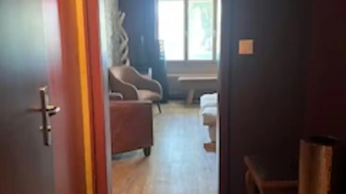 Appartement à louer - Zürcherstrasse, 8102 Oberengstringen