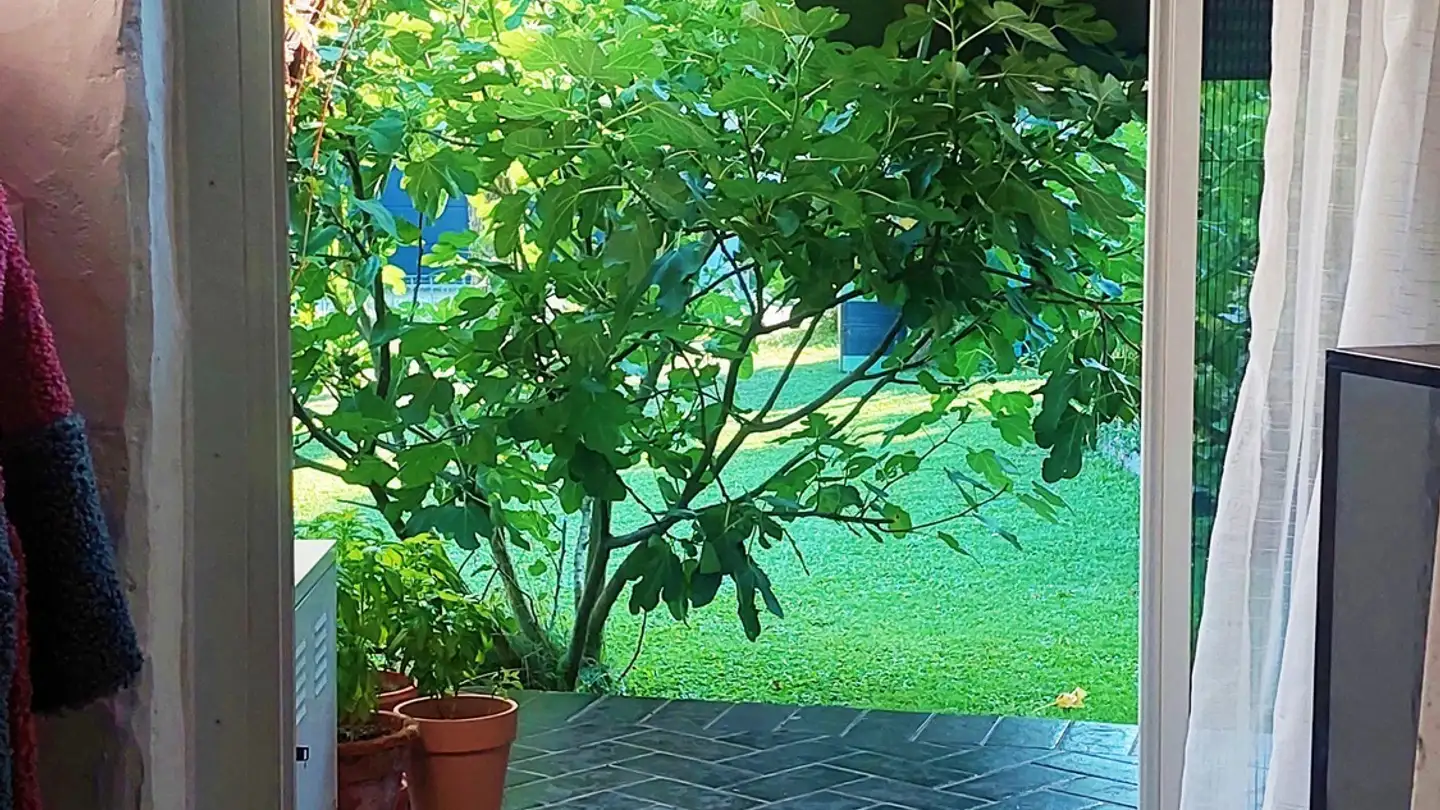 Apartment for rent - 4654 Lostorf - Photo 2