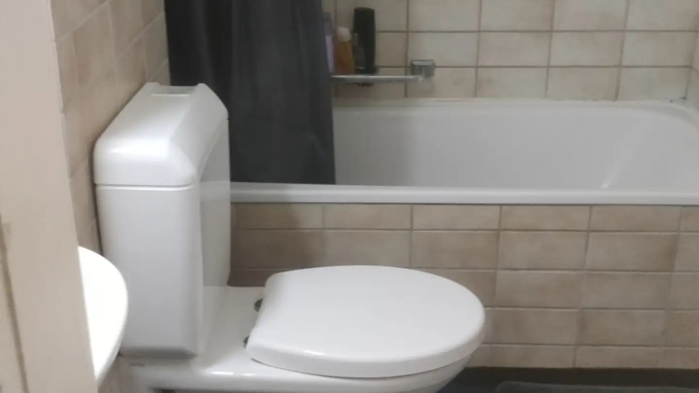 Apartment for rent - Wehntalerstrasse 566, 8046 Zürich - Photo 2