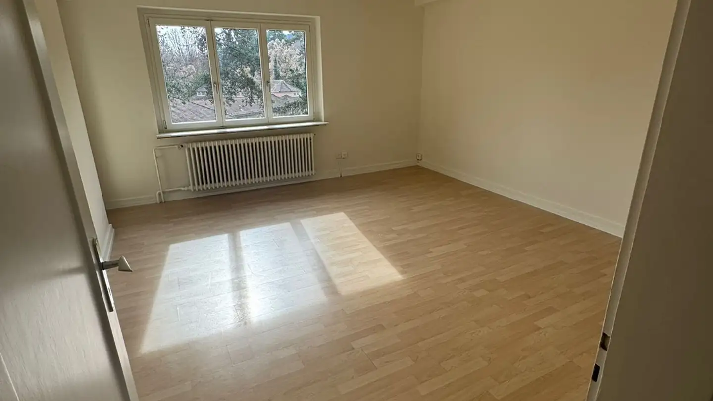 Chambre à louer - Albisriederstrasse, 8003 Zürich - Photo 3