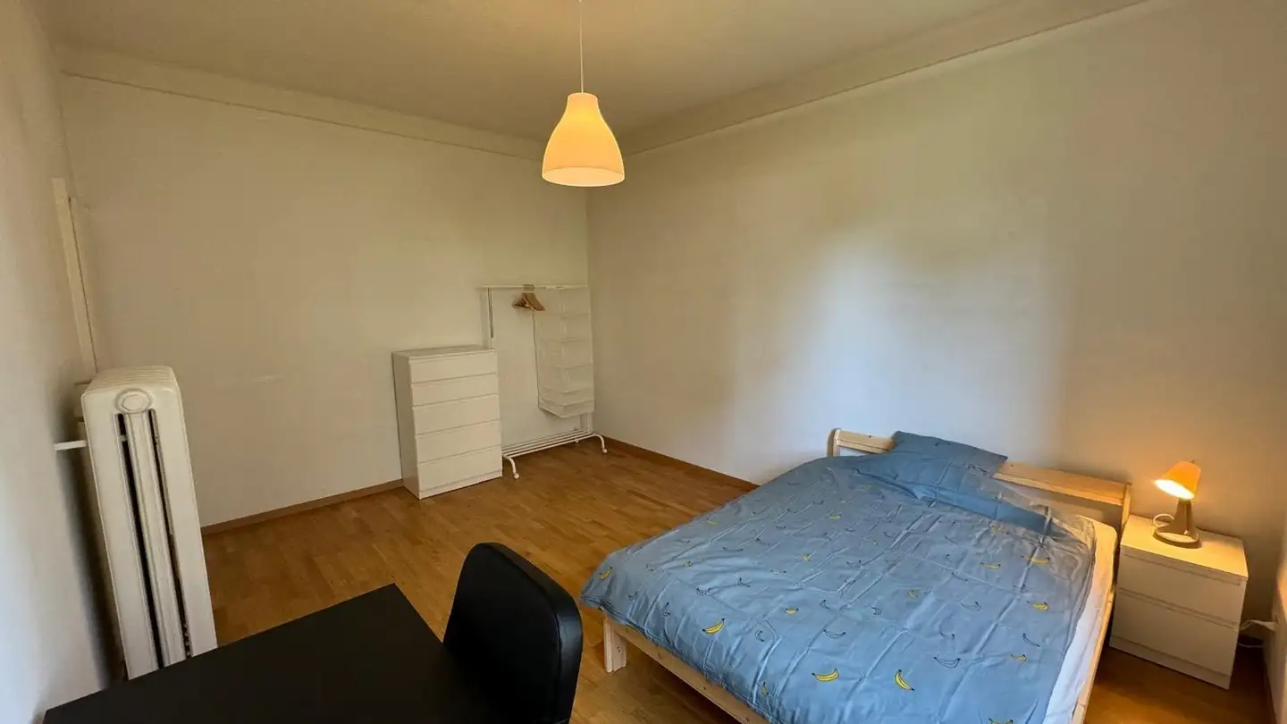 Chambre à louer - Albisriederstrasse, 8003 Zürich