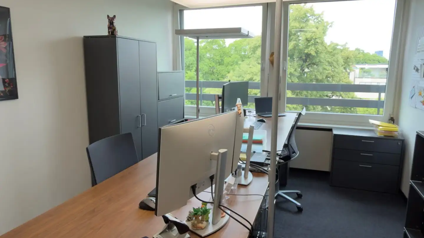 Office space for rent - St. Alban-Anlage 46, 4052 Basel - Photo 2