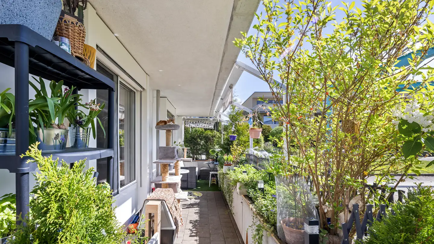 Apartment for sale - Ruchackerweg 17, 4612 Wangen b. Olten - Photo 2