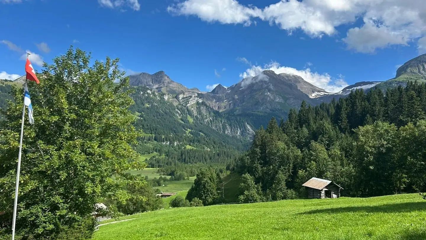 Chalet à vendre - 3782 Lauenen b. Gstaad - Photo 2