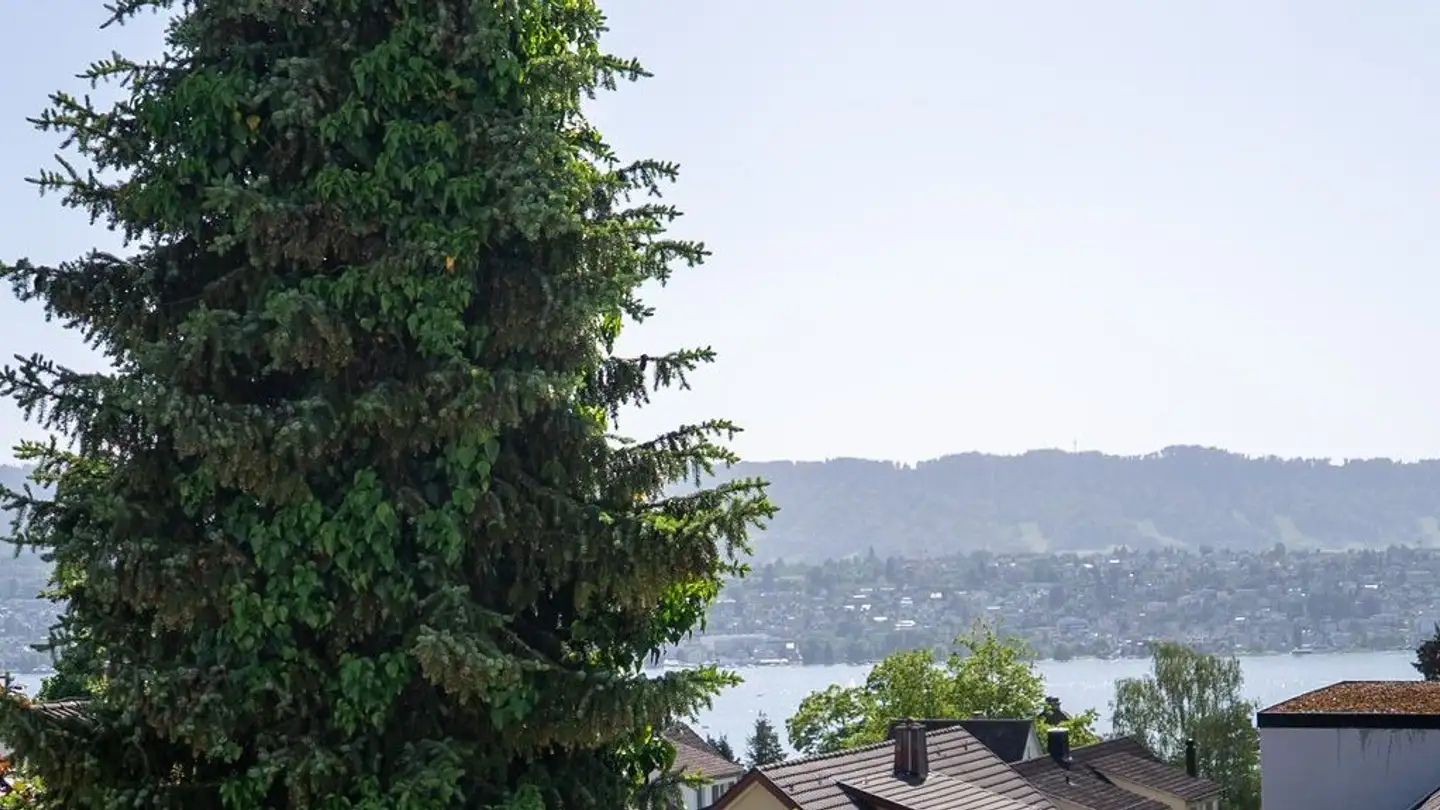 Wohnung mieten - 8700 Küsnacht ZH