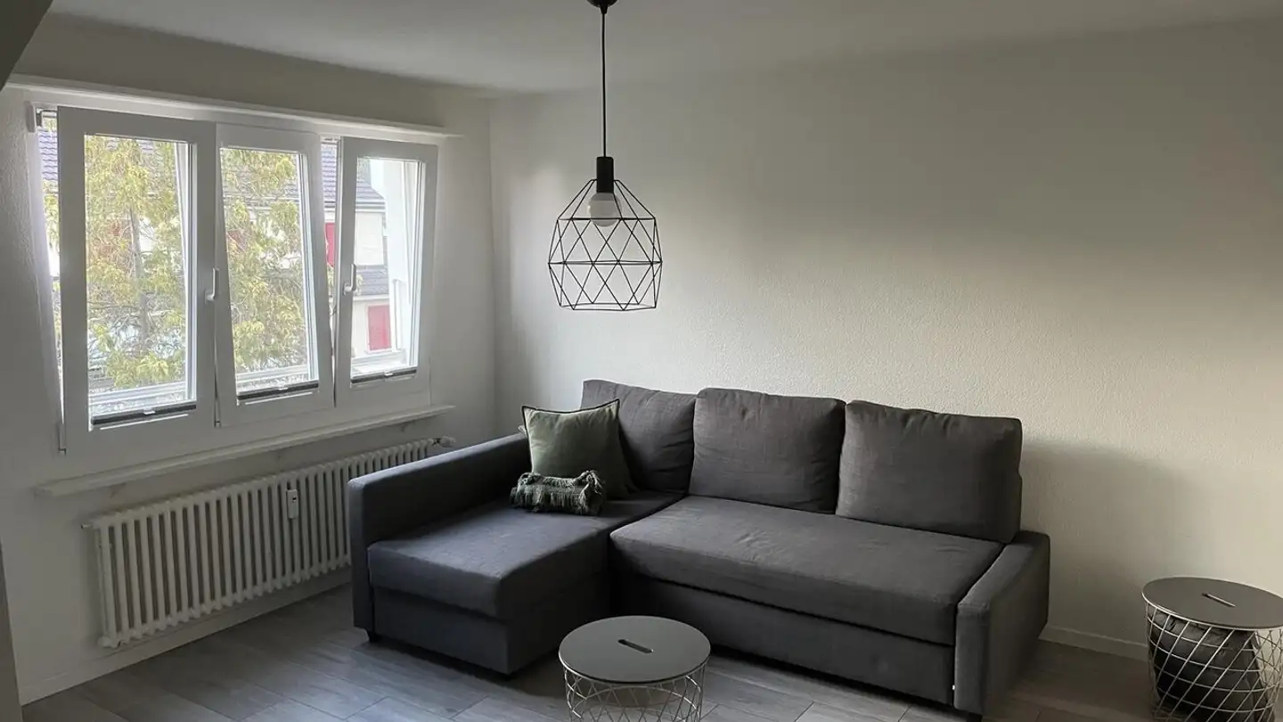 Appartamento in affitto - Erlenstrasse, 4410 Liestal - Foto 3
