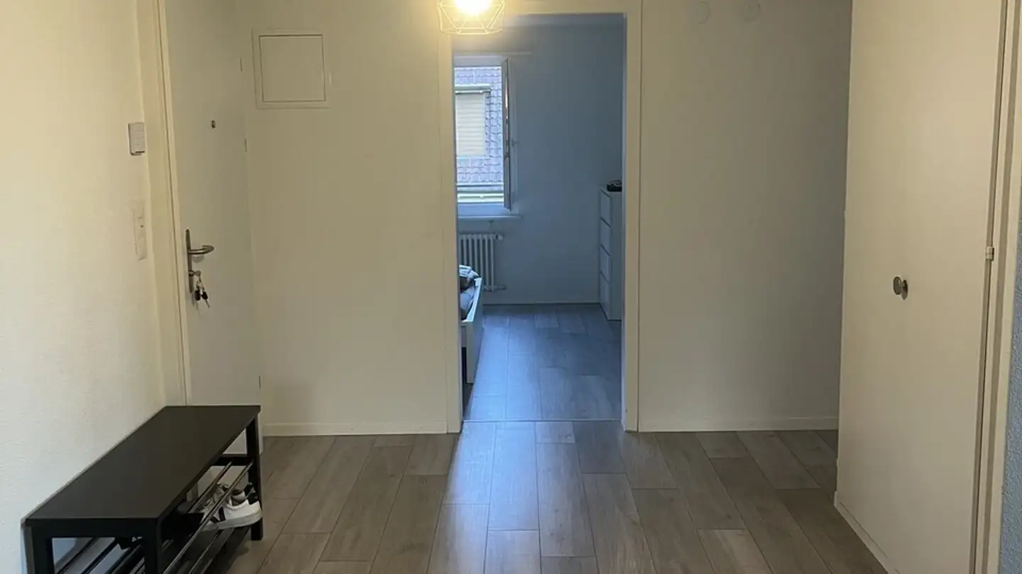 Appartamento in affitto - Erlenstrasse, 4410 Liestal - Foto 4