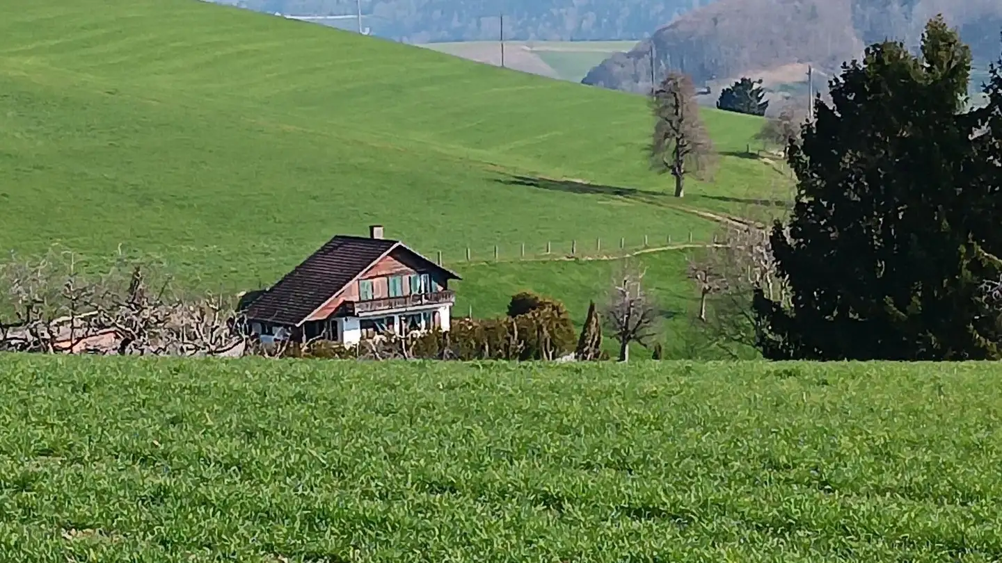 Einfamilienhaus kaufen - Dörfli 12, 4919 Reisiswil