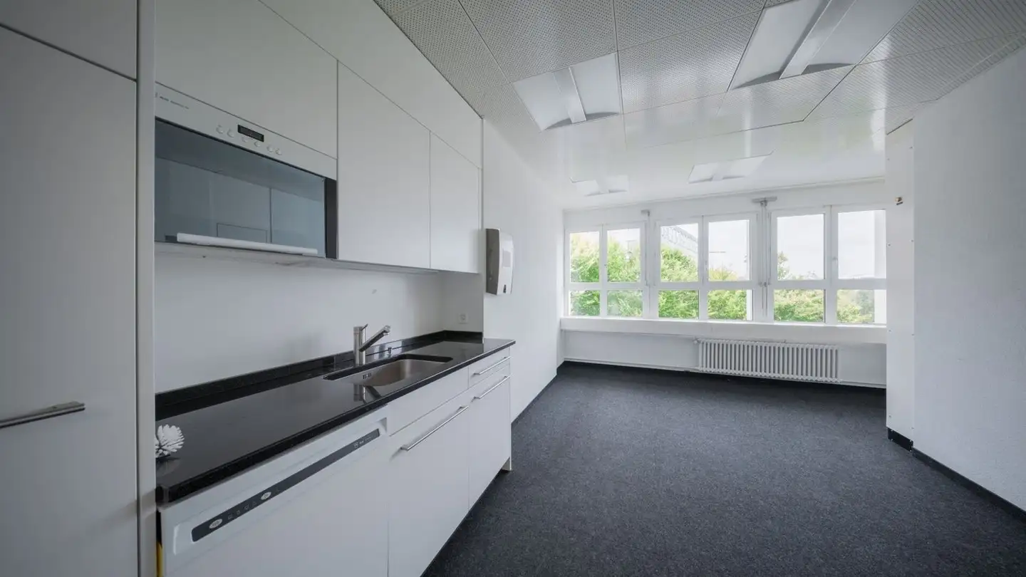 Bureau à louer - Seestrasse 80, 8810 Horgen - Photo 2