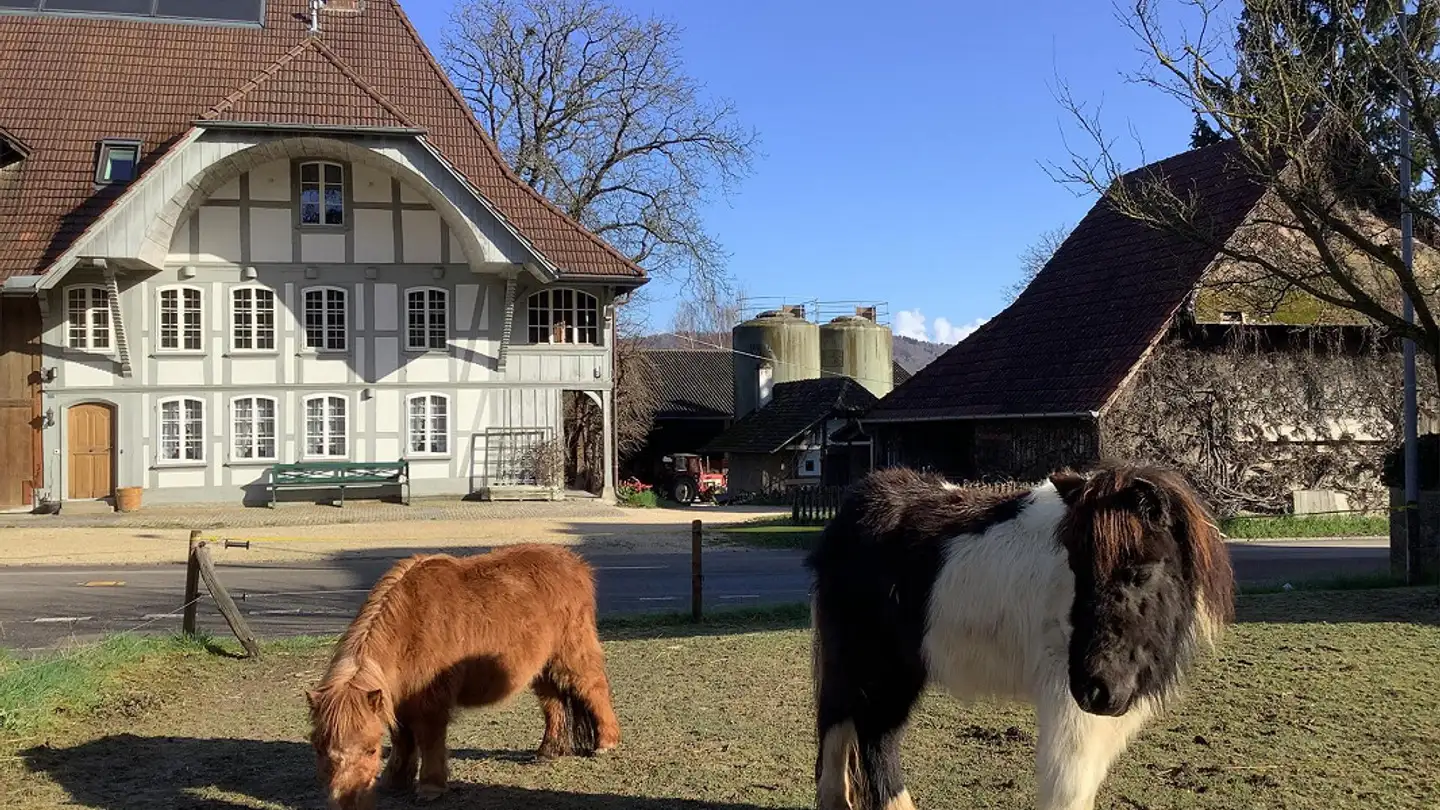 Appartamento in affitto - Hauptstrasse 11, 3254 Messen