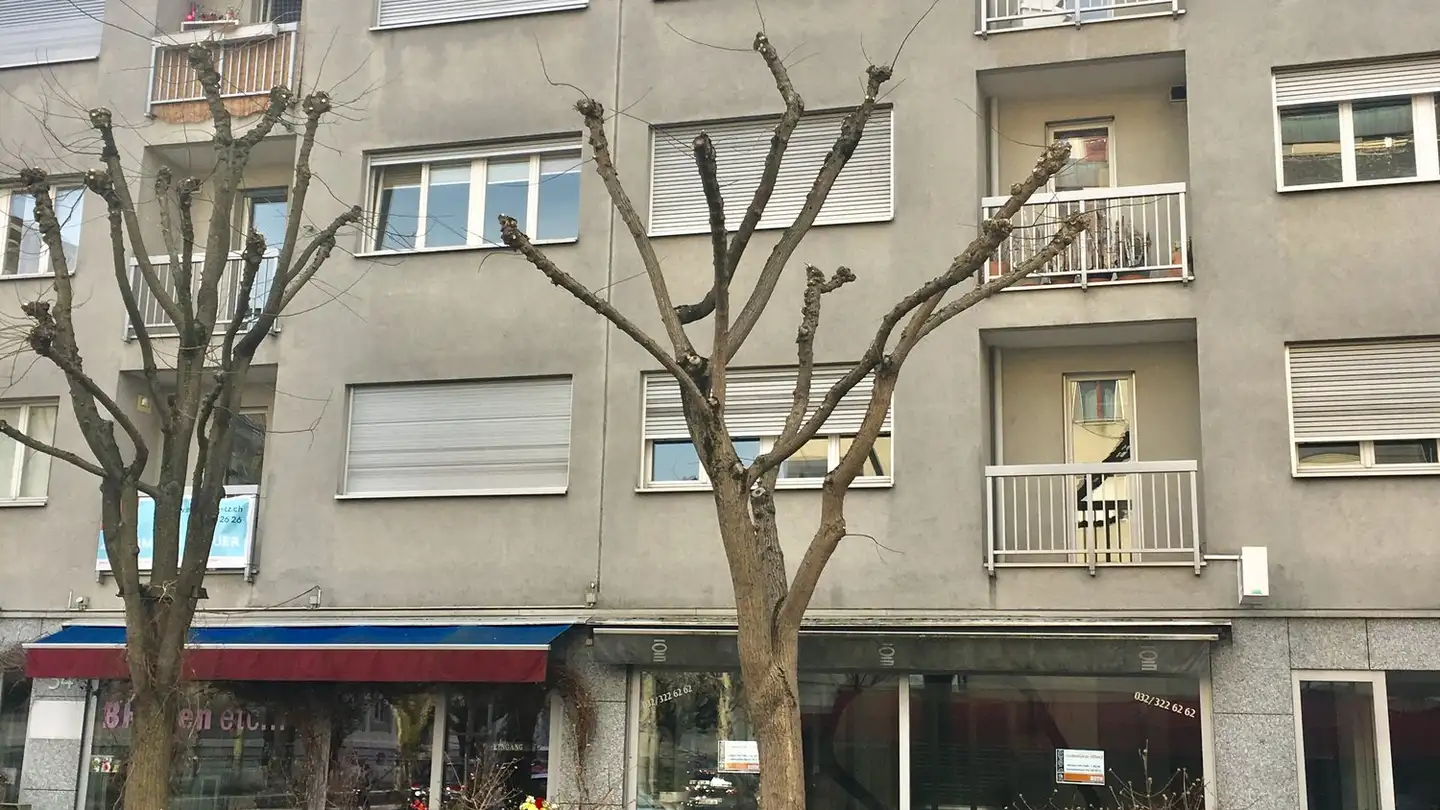 Shop for rent - Rue Du Marché-Neuf / Neumarktstrasse 30, 2502 Biel/Bienne