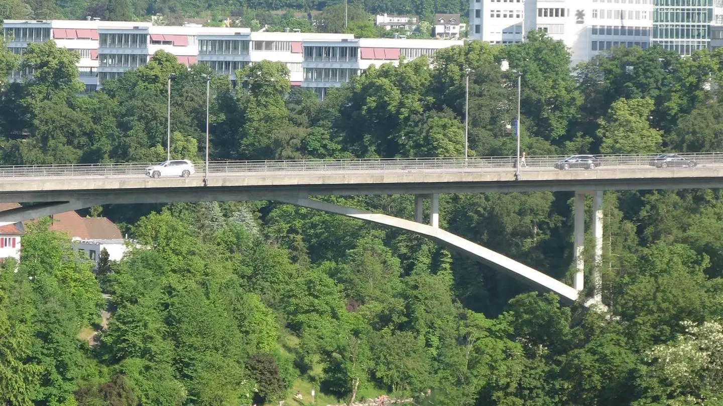 Penthouse for rent - Hanfgarten 3, 5415 Nussbaumen AG