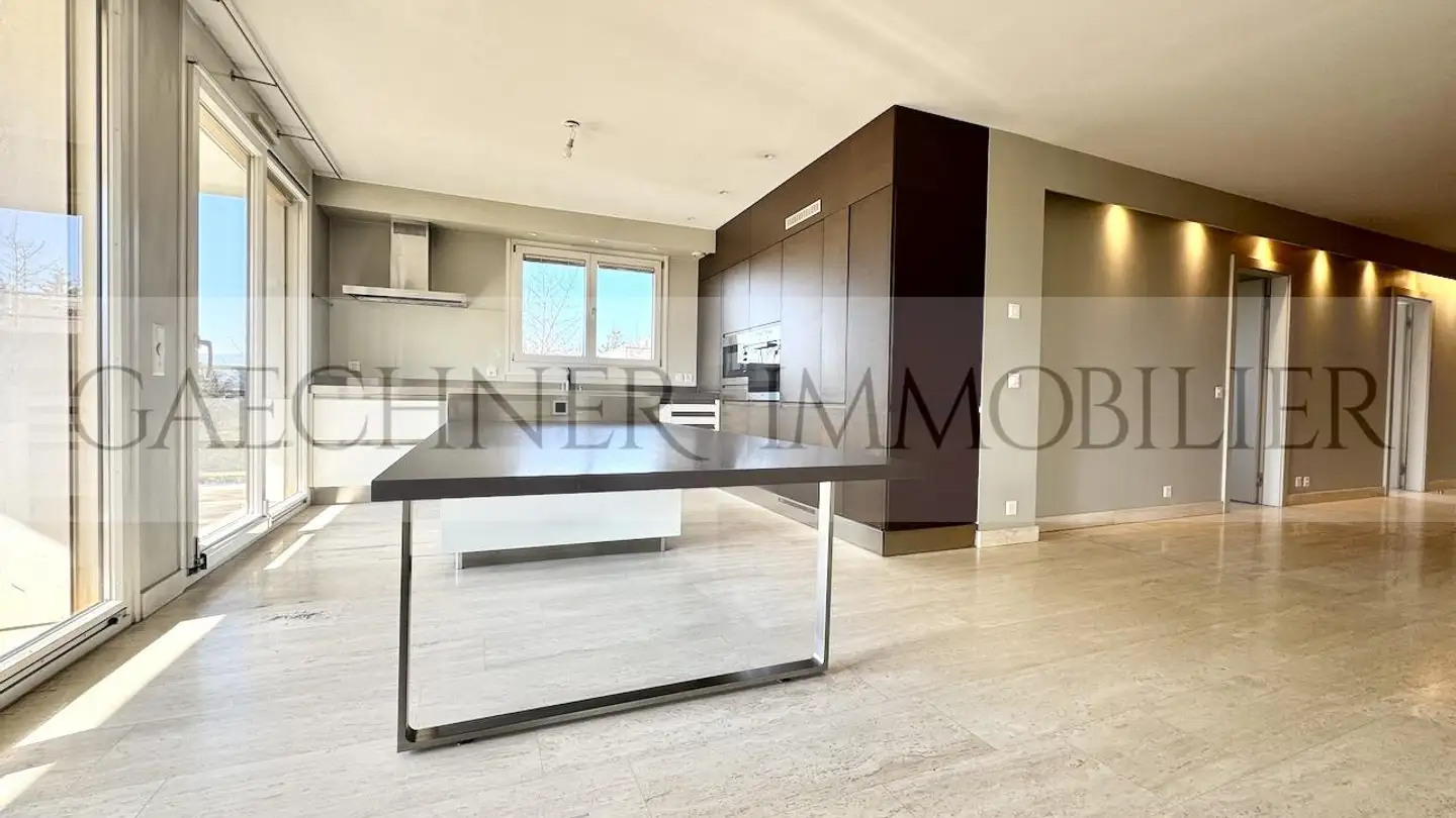 Attique à vendre - 1206 Genève - Photo 4