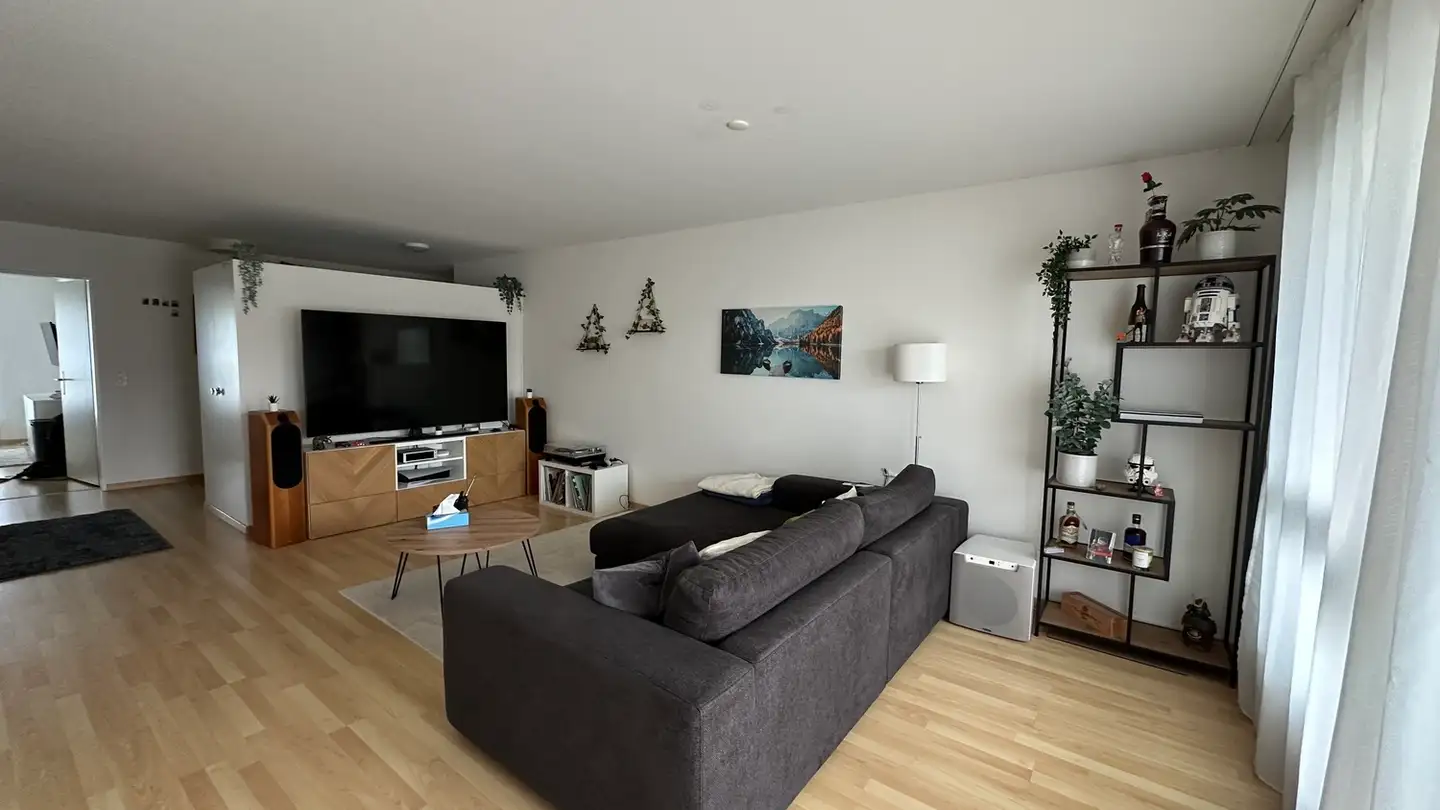 Appartamento in affitto - 8604 Volketswil