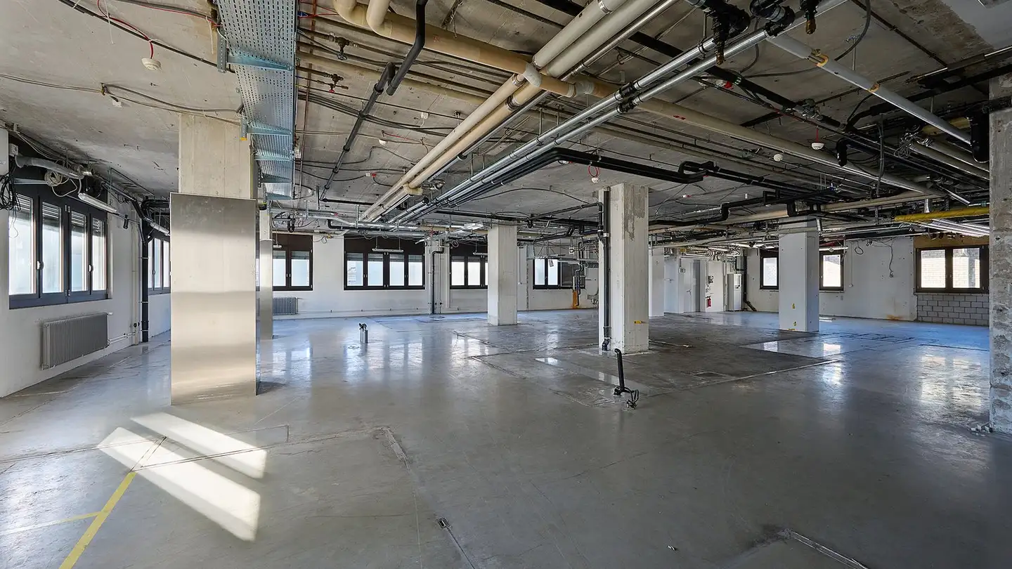 Laboratorio in affitto - Rührbergstrasse 21, 4127 Birsfelden - Foto 2