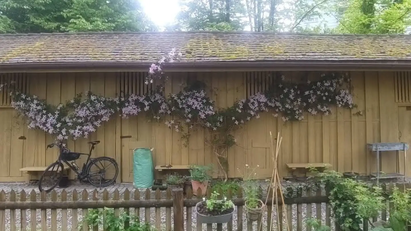 Single room for rent - Usterstrasse 92, 8620 Wetzikon ZH - Photo 3