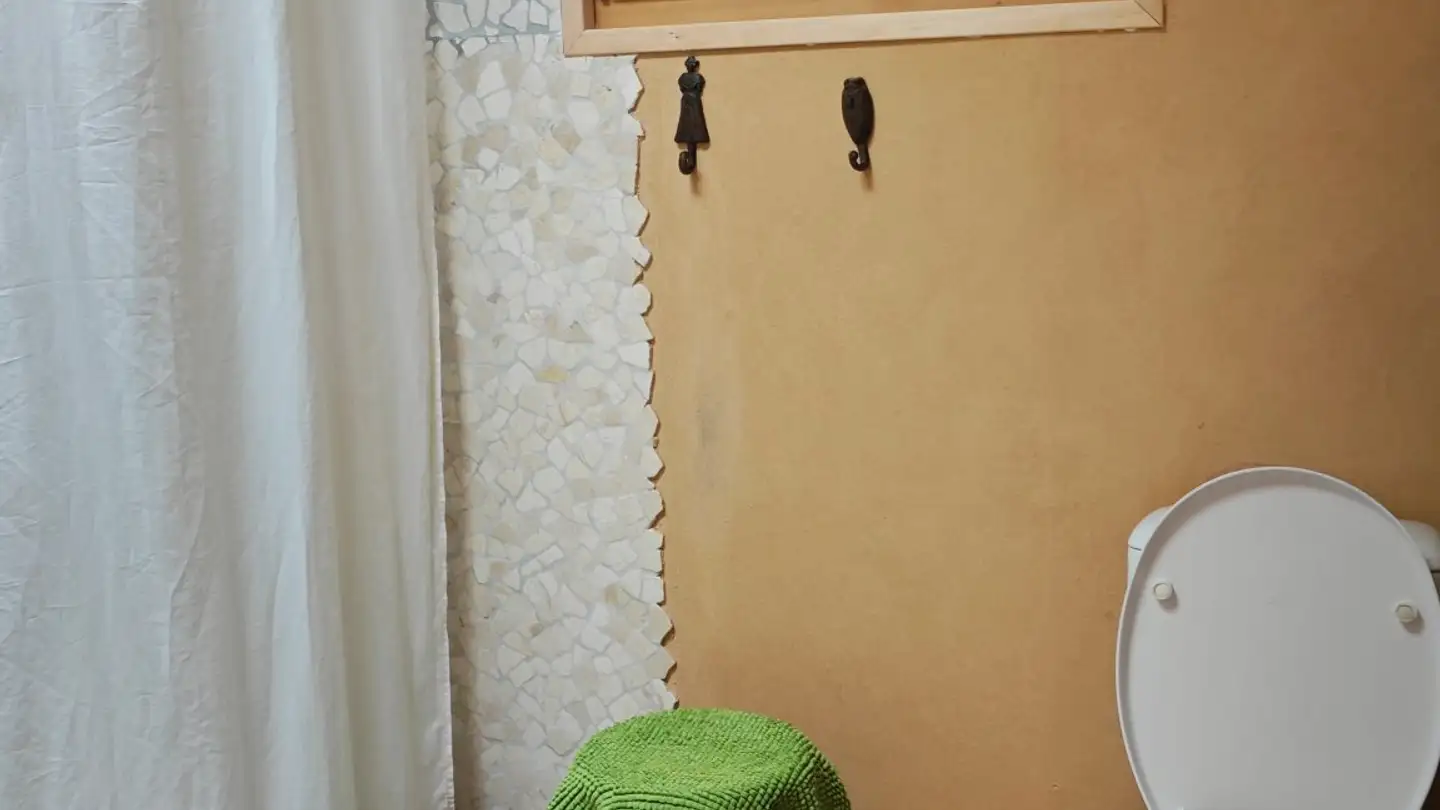 Stanza singola in affitto - Rue De La Gare, 1091 Grandvaux - Photo 3