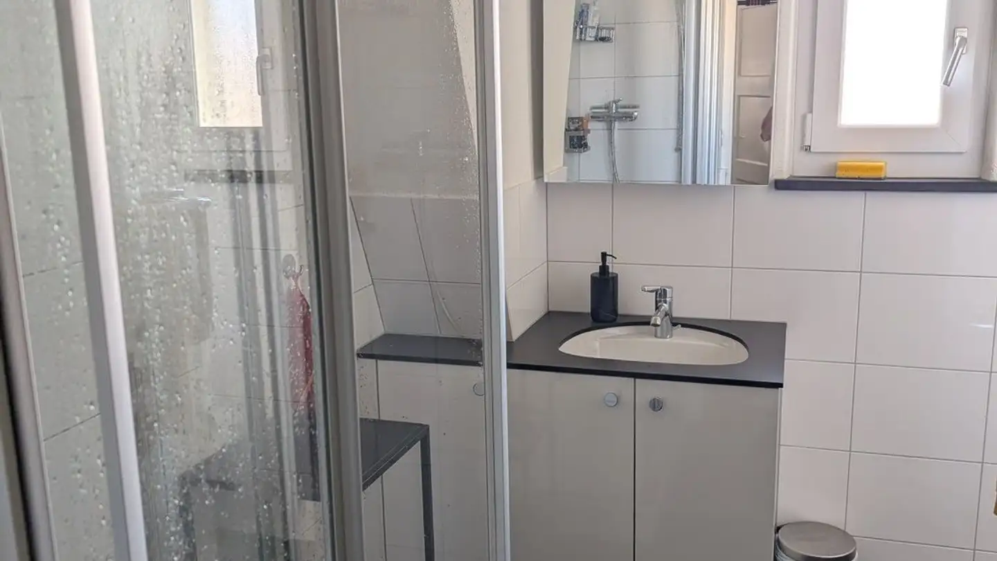 Chambre à louer - 8057 Zürich - Photo 3