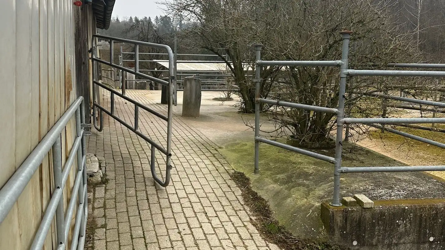 Farm for sale - Löchlistrasse 3, 4658 Däniken SO - Photo 3