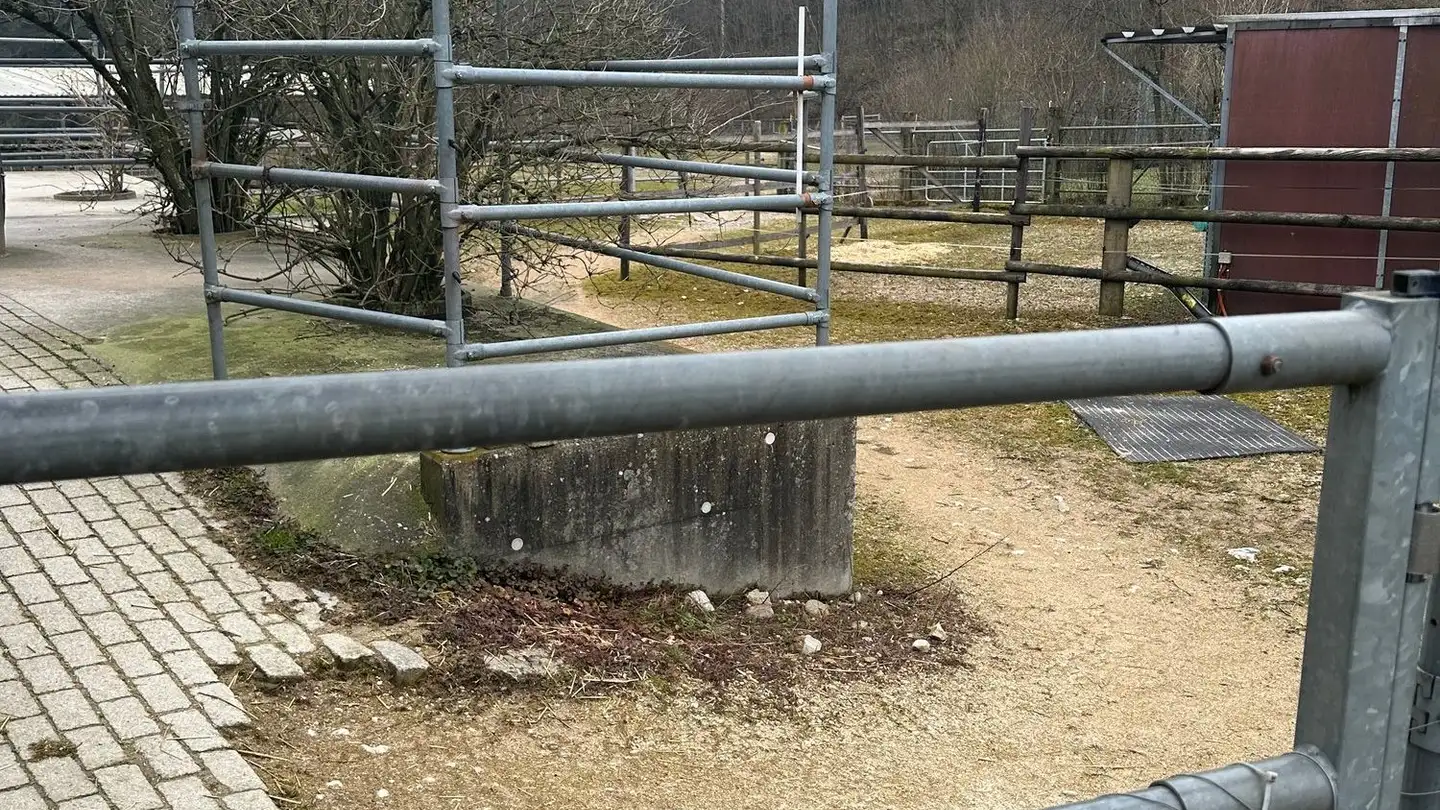 Farm for sale - Löchlistrasse 3, 4658 Däniken SO - Photo 4