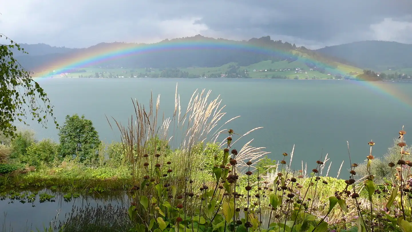 Casa singola in vendita - 8840 Trachslau