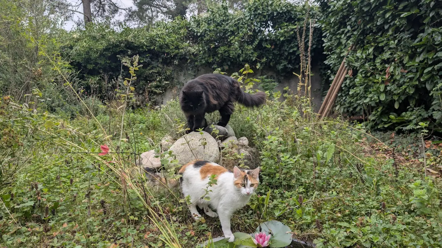 Single room for rent - Seelandweg 15, 3250 Lyss - Photo 3