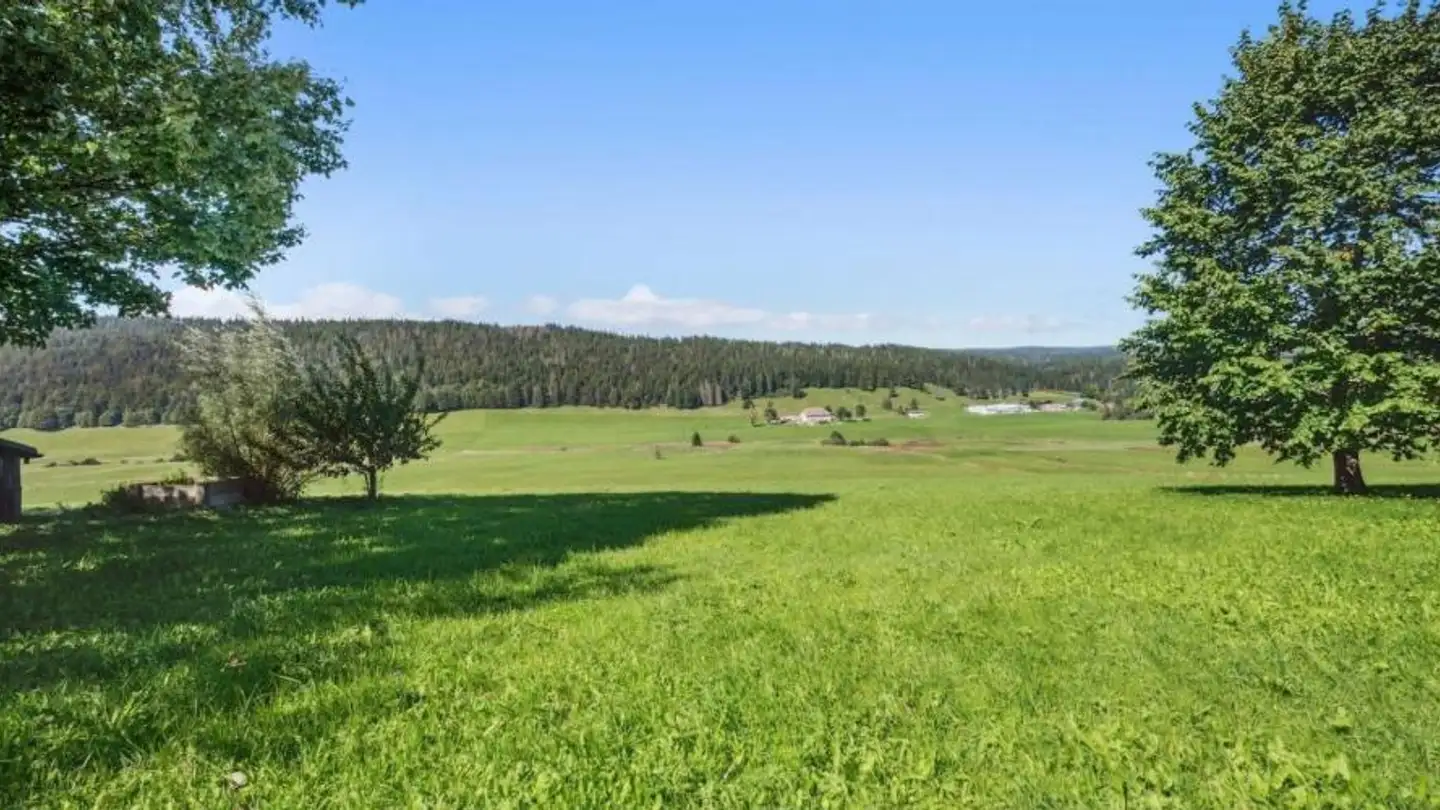 Farm for sale - 1348 Le Brassus - Photo 2