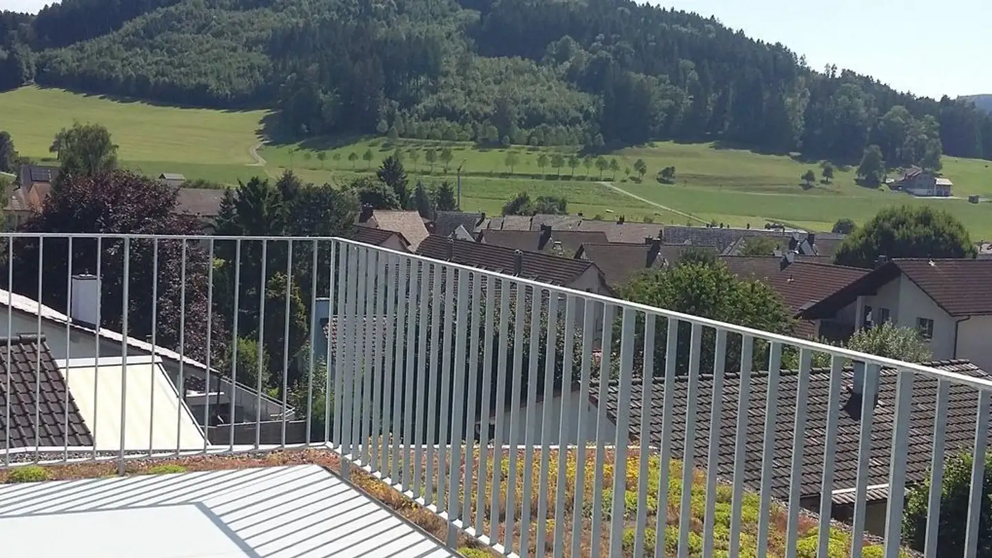 Attique à louer - Rosenburgstrasse 1, 8360 Wallenwil - Photo 3